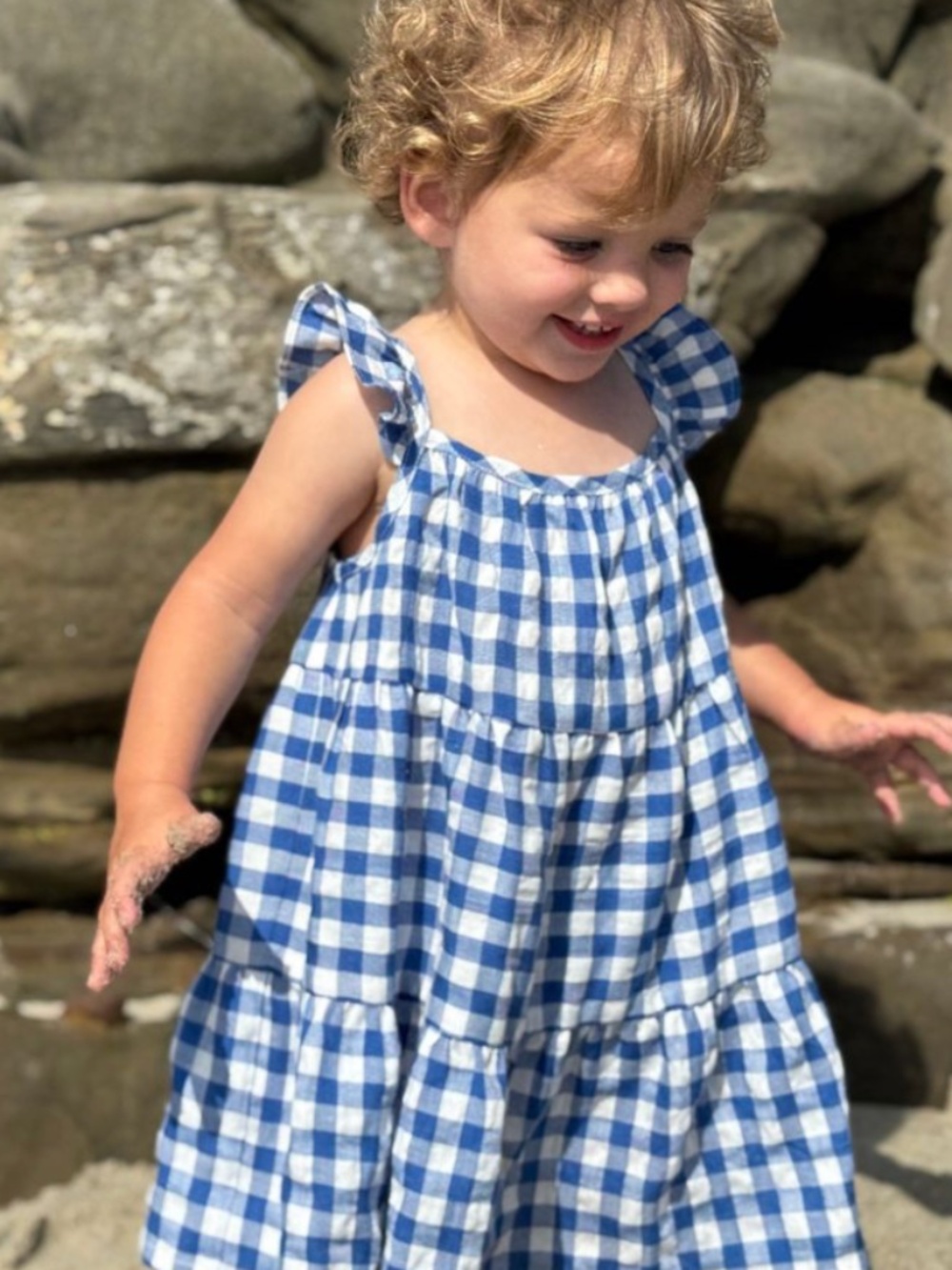 Vignette Gingham Dress
